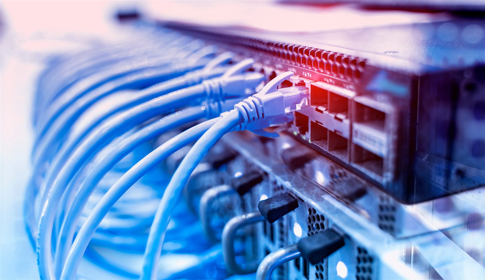 Przełącznik sieciowy z podpiętymi kablami ethernet